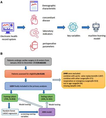 Identification of risk factors for infection after mitral valve surgery through machine learning approaches